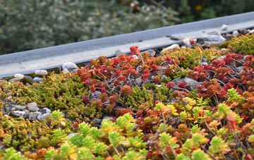 the cost of Gadshill green roof installation