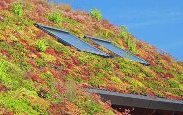 Gadshill living roof systems